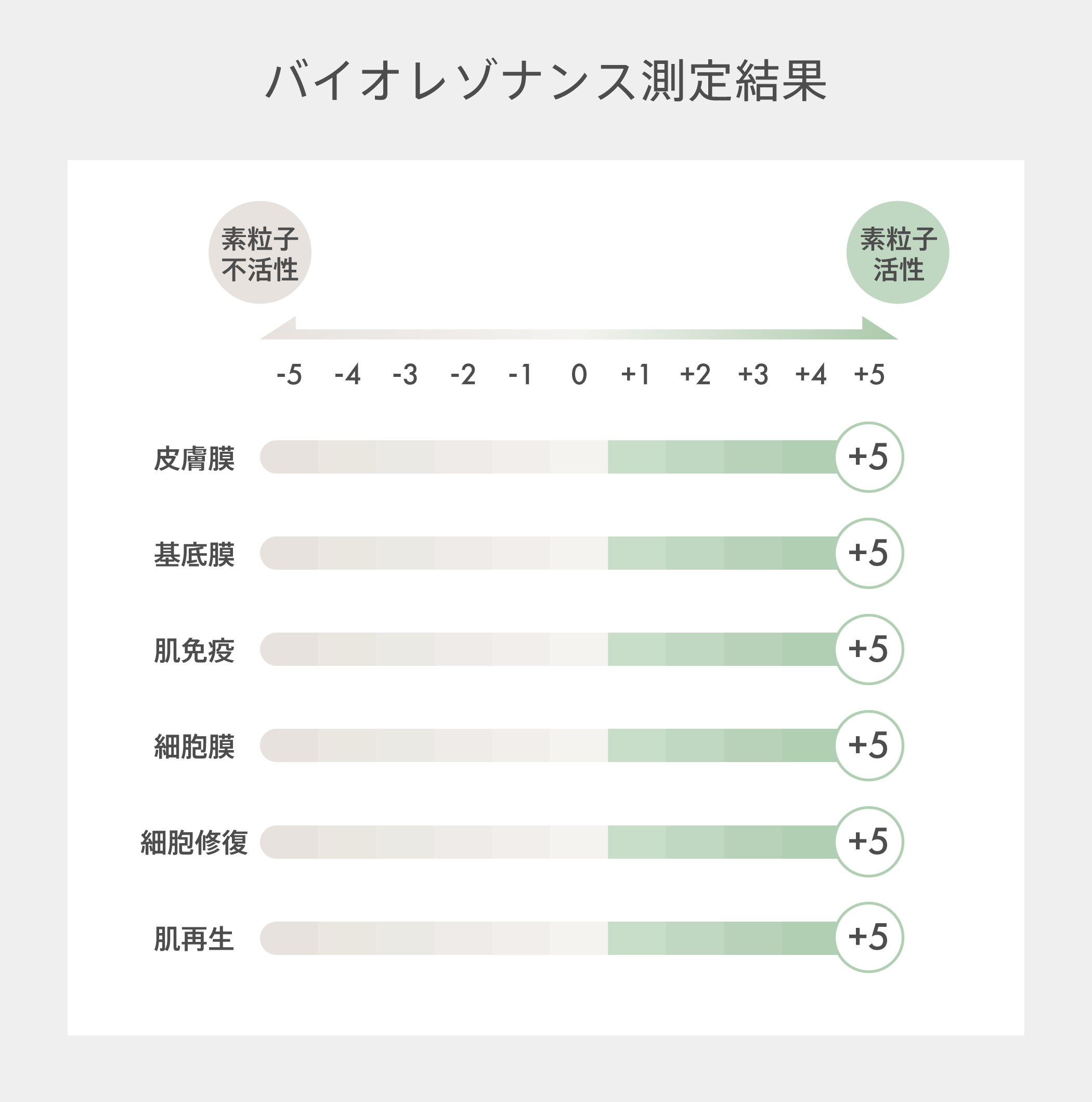 バイオレゾナンスの結果表