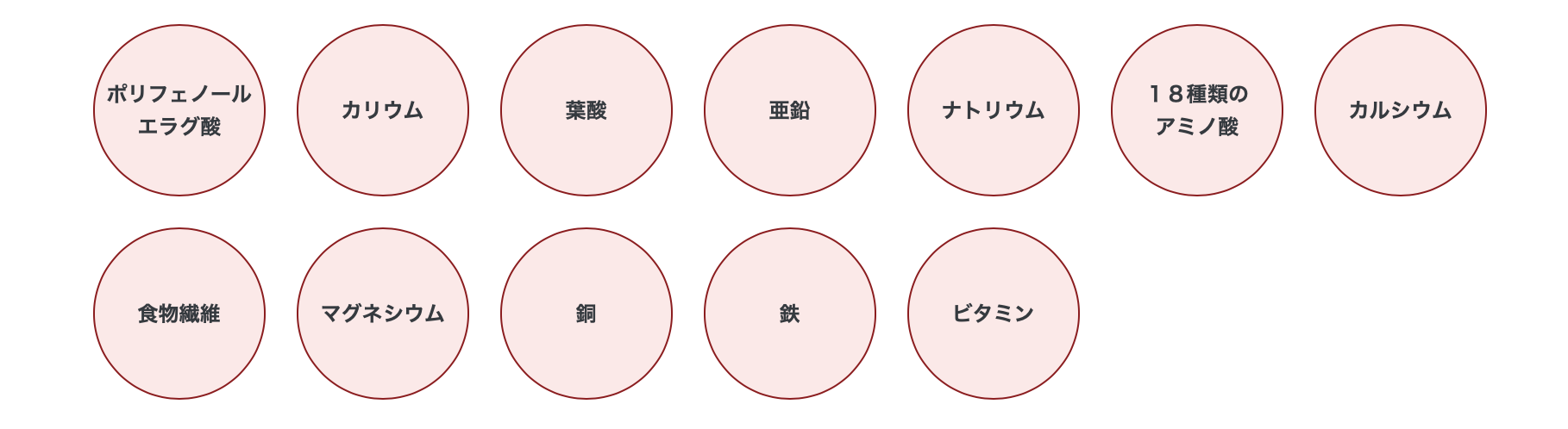 主な栄養素